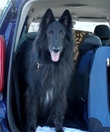 Bandit v. Waldecker Land